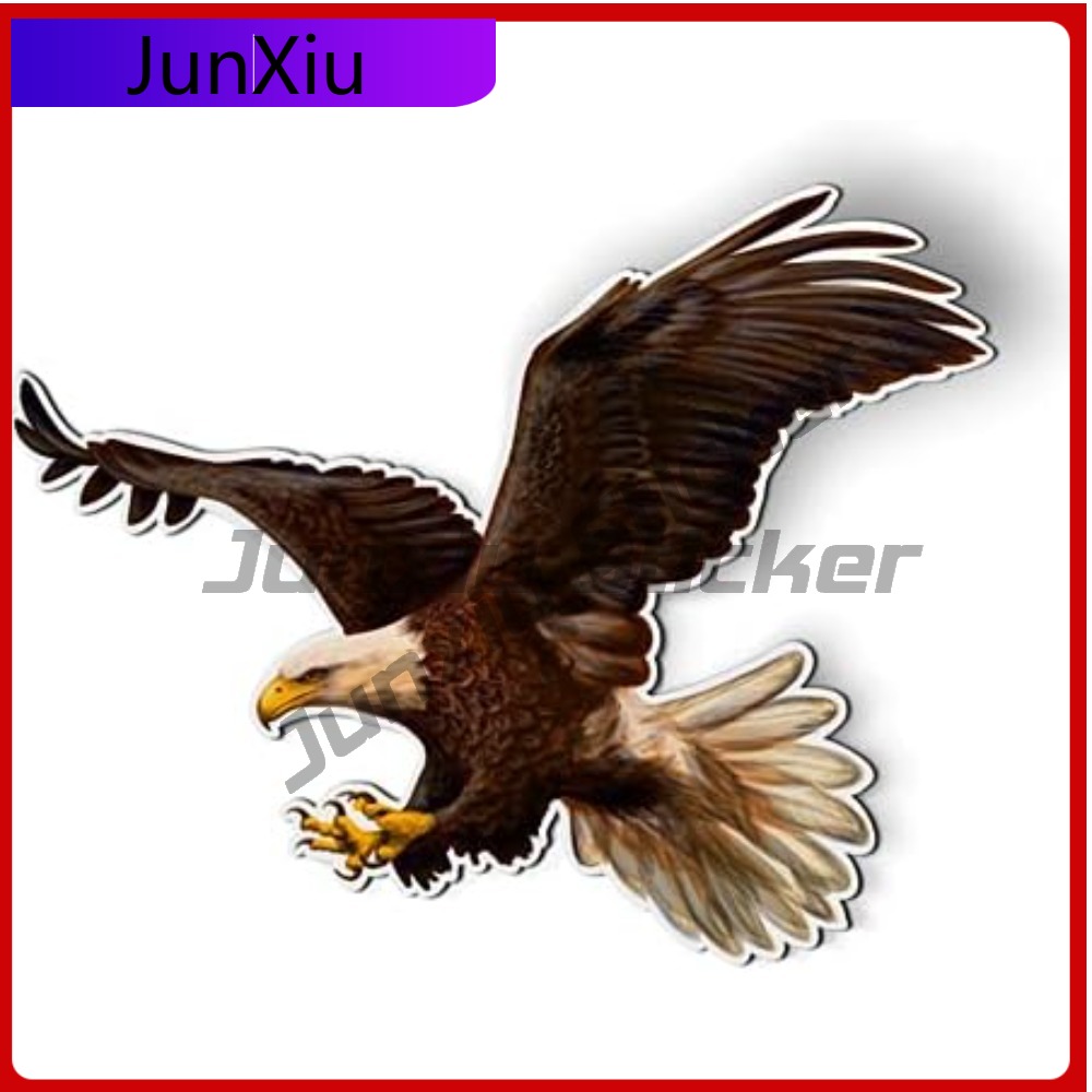 Bald Eagle American Eye Catchi – Laptop Accessories To Have Bewertung und Preis